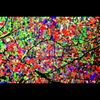 Tribute to Jackson Pollock thumbnail